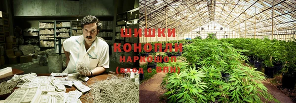 каннабис Алексин