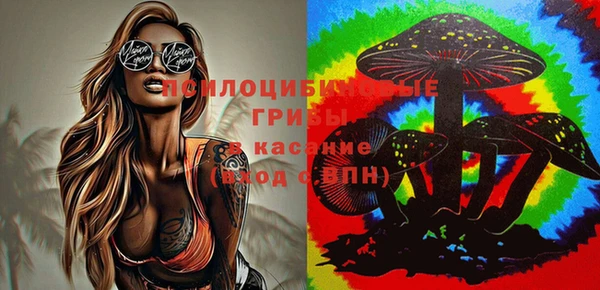 прущие крисы Алзамай