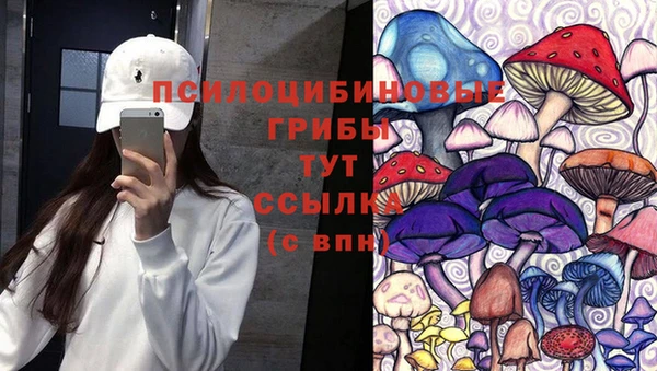 прущие крисы Алзамай